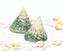 Trochus Jade Green seashell for sale